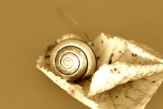 Entschleunigen und die Vorzüge der Langsamkeit entdecken Langsamkeit-Entschleunigung